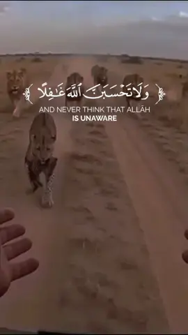 #اللهم اجعلنا من الذين يؤمنون بك ويتقونك ولا تجعلنا من الظالمين واجعل قلوبنا ثابتة على الايمان وارزقنا العمل الصالح واحفظنا من كل شر وظلم وارزقنا فهم كتابك والعمل بما فيه واجعلنا من عبادك الصالحين الذين تنفعهم طاعتك يا رب العالمين#🤲🏻 #جميع_الدول_العربيه #اكسبلور  شعب الصيني ما له حل#🤲🏻 