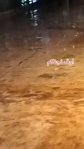 #الشاعره_ام_جراح #ام_جراح #شعر #شعر_عراقي #شعراء_وذواقين_الشعر_الشعبي 
