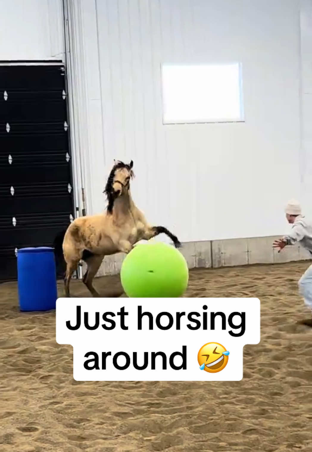 (via @Adam Grondin) #espnsocial #horse #play #funny 