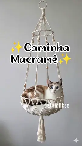 Rede Cama em Macramê para gatos😻conforto, estilo e perfeição em um só produto✨#creatorsearchinsights #gateirasdotiktok #gateirasdobrasil #fyp  #gato @gatamilksc 