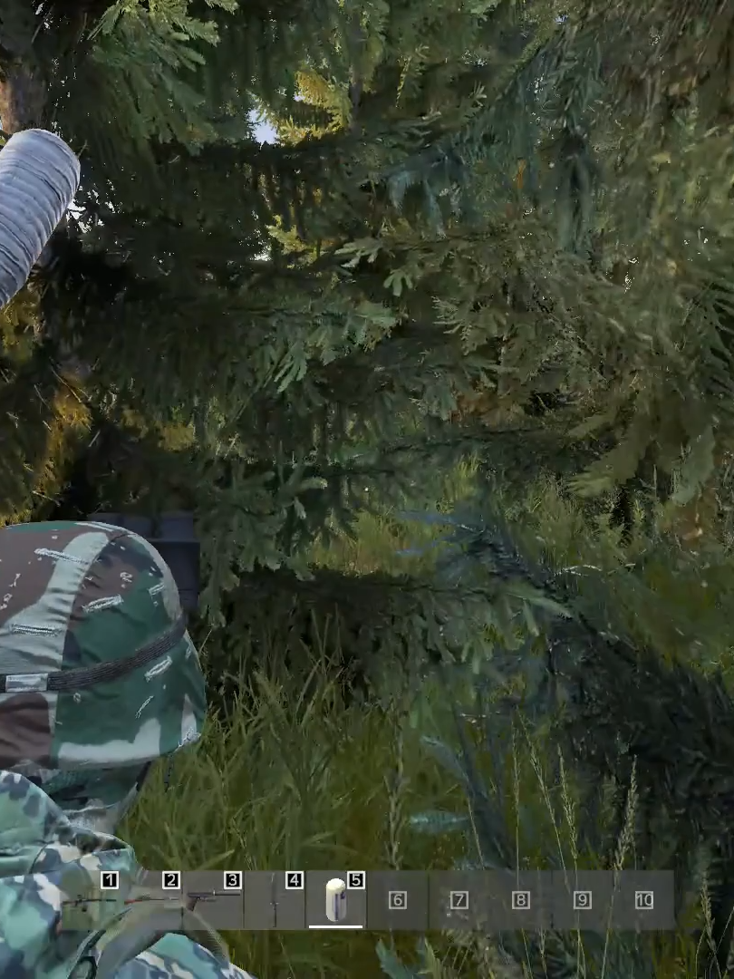 Принималово на @projectferal 80.242.59.133:2302 #dayz #dayzmoments #dayzclips #дейзи #dayzcommunity