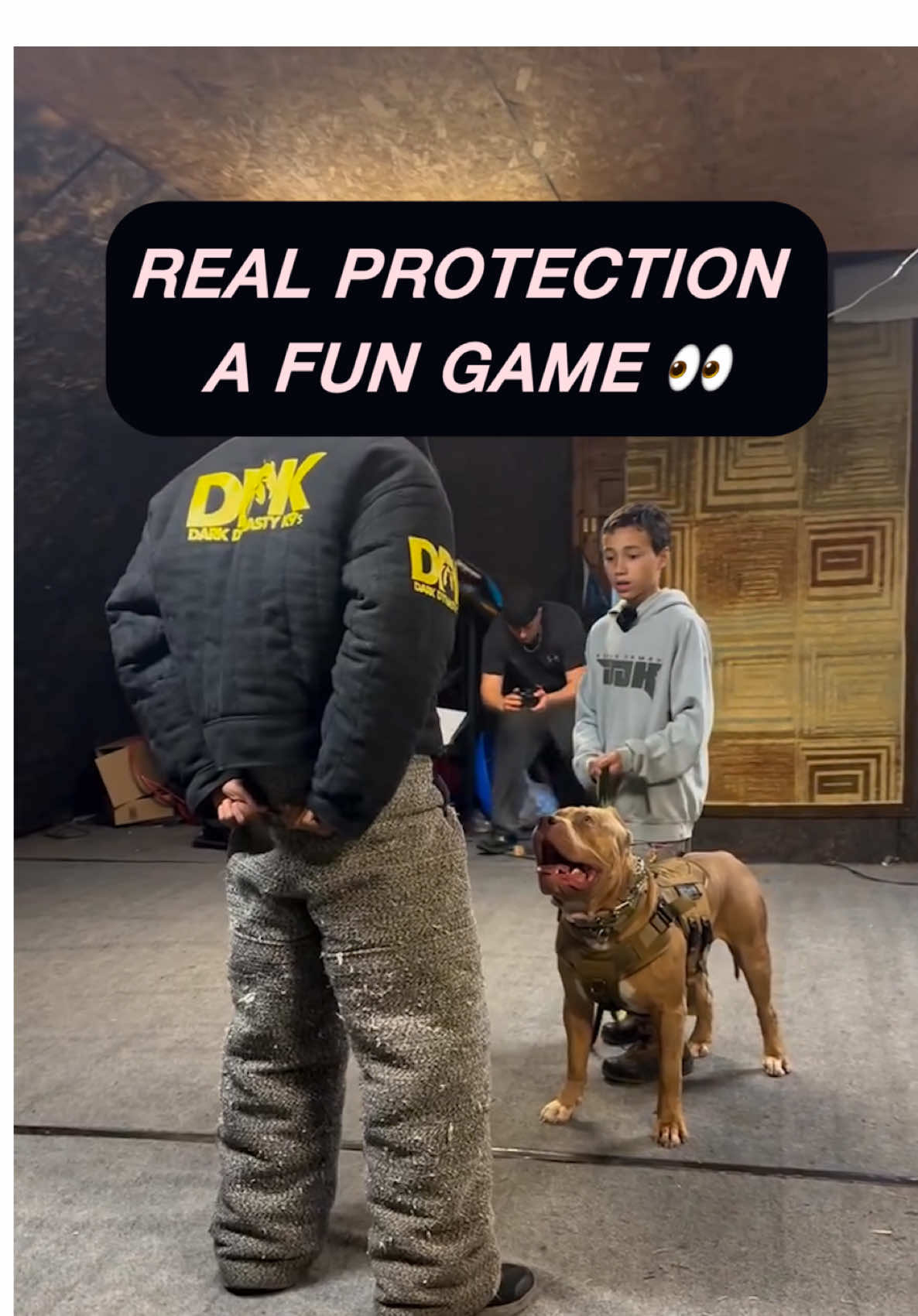 Does this look like real life protection or is it just a game that looks like protection? Comment your thoughts below 👇🏼 #dogtrainingtips #dog #protection #k9 #bully