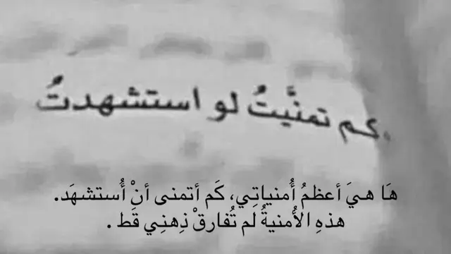 قناتي التلي loureiles  #fyp #كربلاء #شهداء_العراق_ذكرى_لا_ينساها_الجميع #الحشدالشعبي #ياعلي 