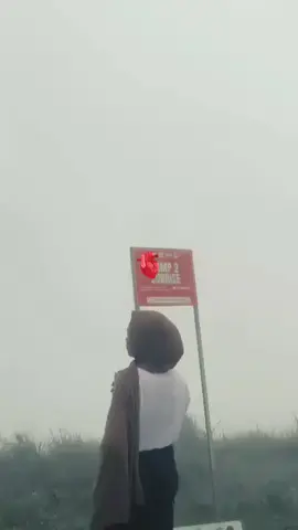 #CapCut 