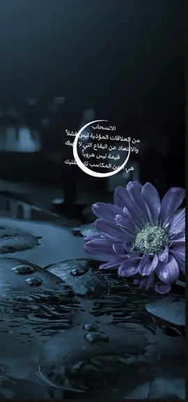 شكراً لمن أرادوا بنا كسراً فخذلَهم الله و جعلَهم جسراًعبرنا به نحو الأفضل ..࿐🕊️