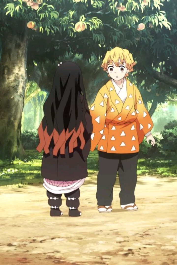 Nezuko x Zenitsu: jacayl ka dhex dhashay cabsi iyo dagaal—qalbi nadiif ah ayaa ka xoog badan wax kasta. #Nezuko #Zenitsu #DemonSlayer #AnimeSomali #LoveStory 