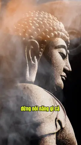 Quay vào chính mình là cách chữa lành tâm hồn …#phatphapnhiemmau #phatphap #chualanhtamhon #loiphatday #annhien #thayminhniem 