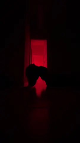 Don’t leave me alone with a camera and red light..  #dance #fyp #redlight #fakebody #χορος 