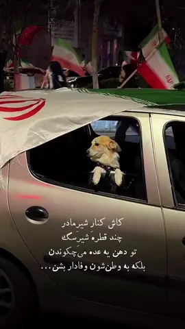 #dog #dogsoftiktok #faithfulness 