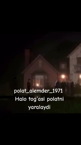 Halo tog‘a polatni yaralaydi  #polat_alemder_1971 #qashqirlarmakoni #kurtlarvadisi #Halo #keşfet 