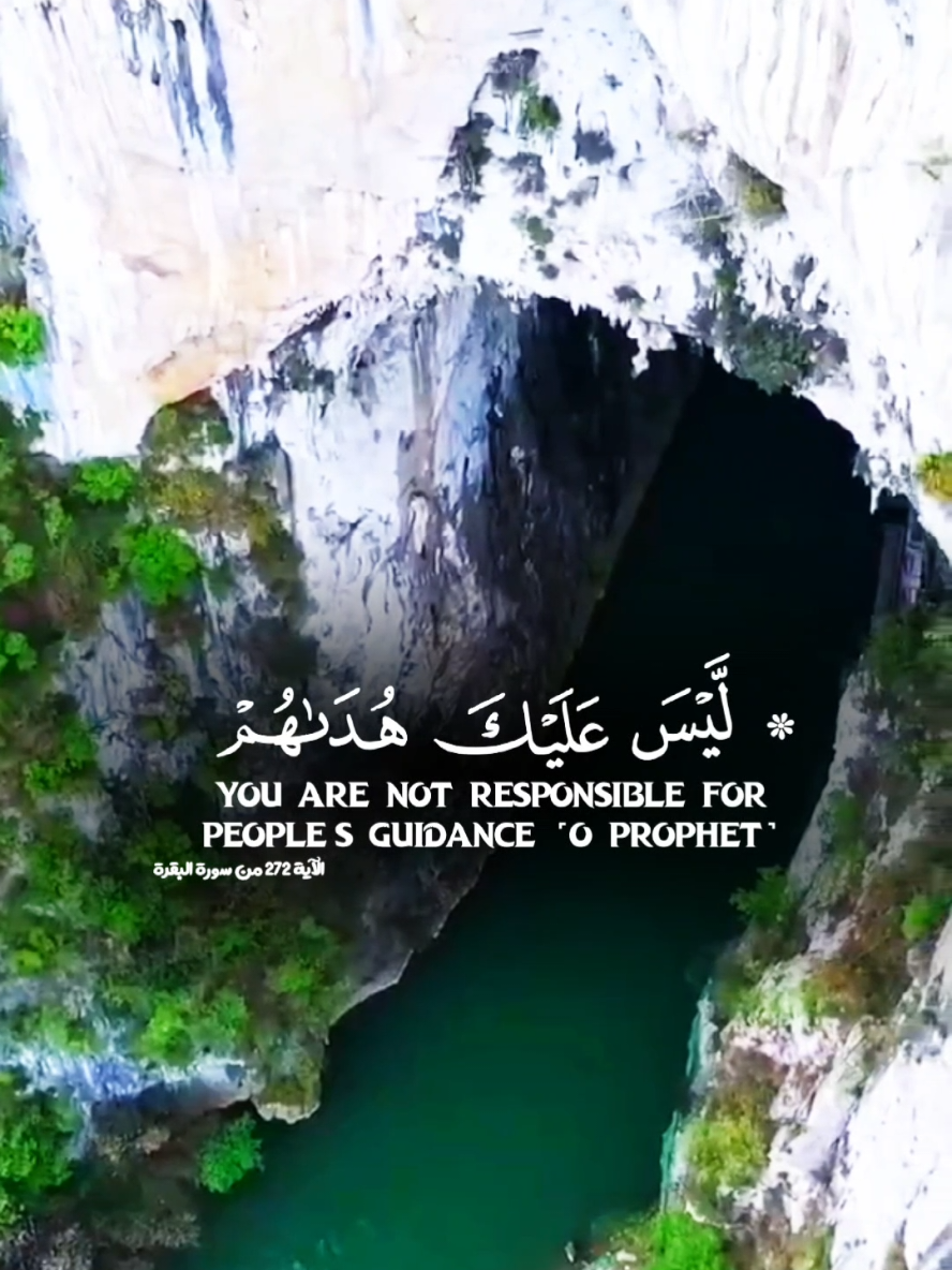 You are not responsible for their guidance… Allah guides whom He wills 🤍 Recited by Muhammad Taj #quran #islam #reminder #MuhammadTaj #explore