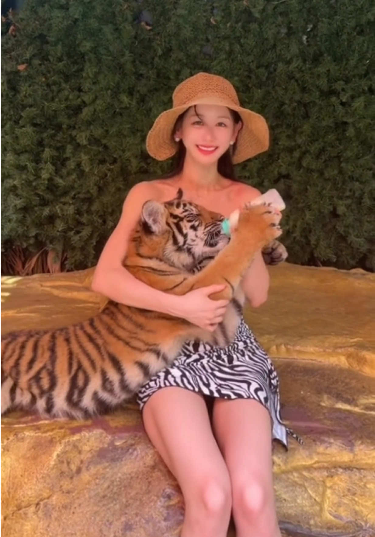 🐯🍼🇹🇭