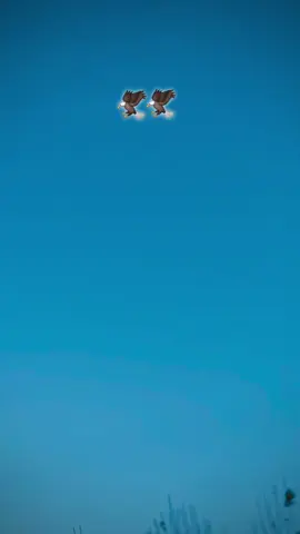 #fypp 