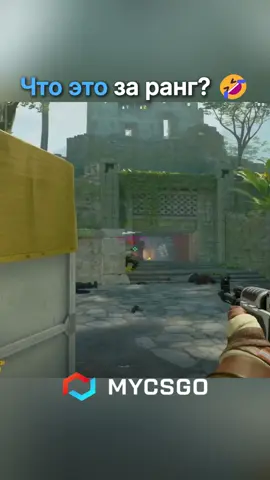 Что то ниже лоутаба? #cs2 #cs2moments #cs2funnymoments #csgo 