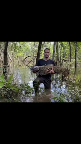 Ele está de volta #peixe #pescador  #tiktokviral #f #fy 