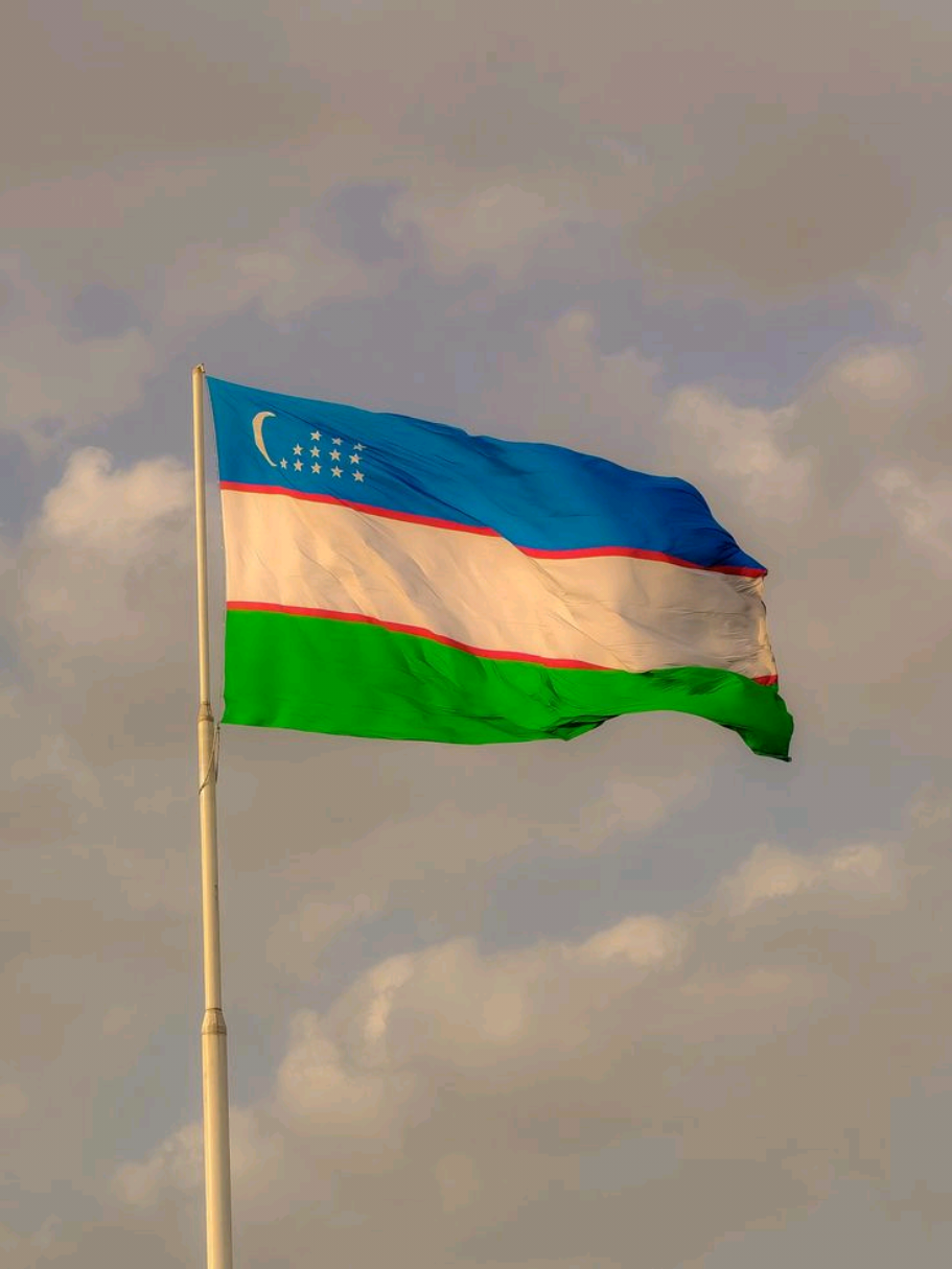 Menovazin+kamforniy maslo aralshtrp ustiga 5tomchi yod       #🇺🇿🇺🇿🇺🇿🇺🇿🇺🇿 #uzbekistan #rekomendasi #creatorsearchinsights #apteka 
