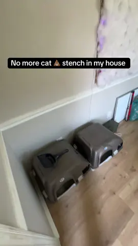 #catparent #catlovers #catlitterbox #automaticlitterbox #catstagram 