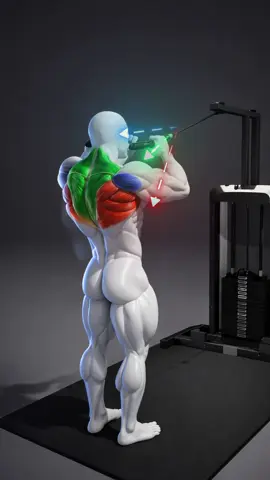Same cable, different muscles. 💪🔥 Pull right, target better. #fitonomy #backworkout #reardelts #lats #gymtips 
