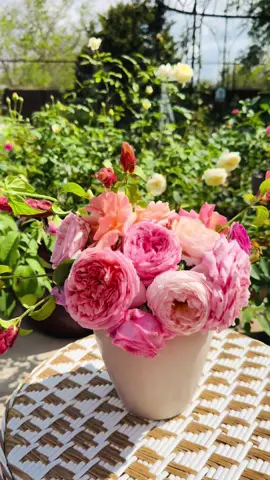 Fresh cut from may garden today!!! 😍🥰 #Love #garden #happy #Love #thanksuniverse 