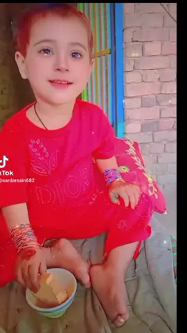 kadi masee tay kadi toly
