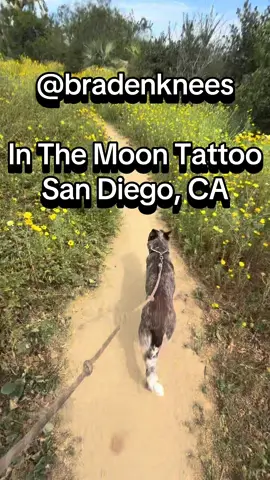 DM me on 1nsta to book a tattoo #americantraditional #sandiegotattooartist #americantraditional #tattooartist #tattooideas 