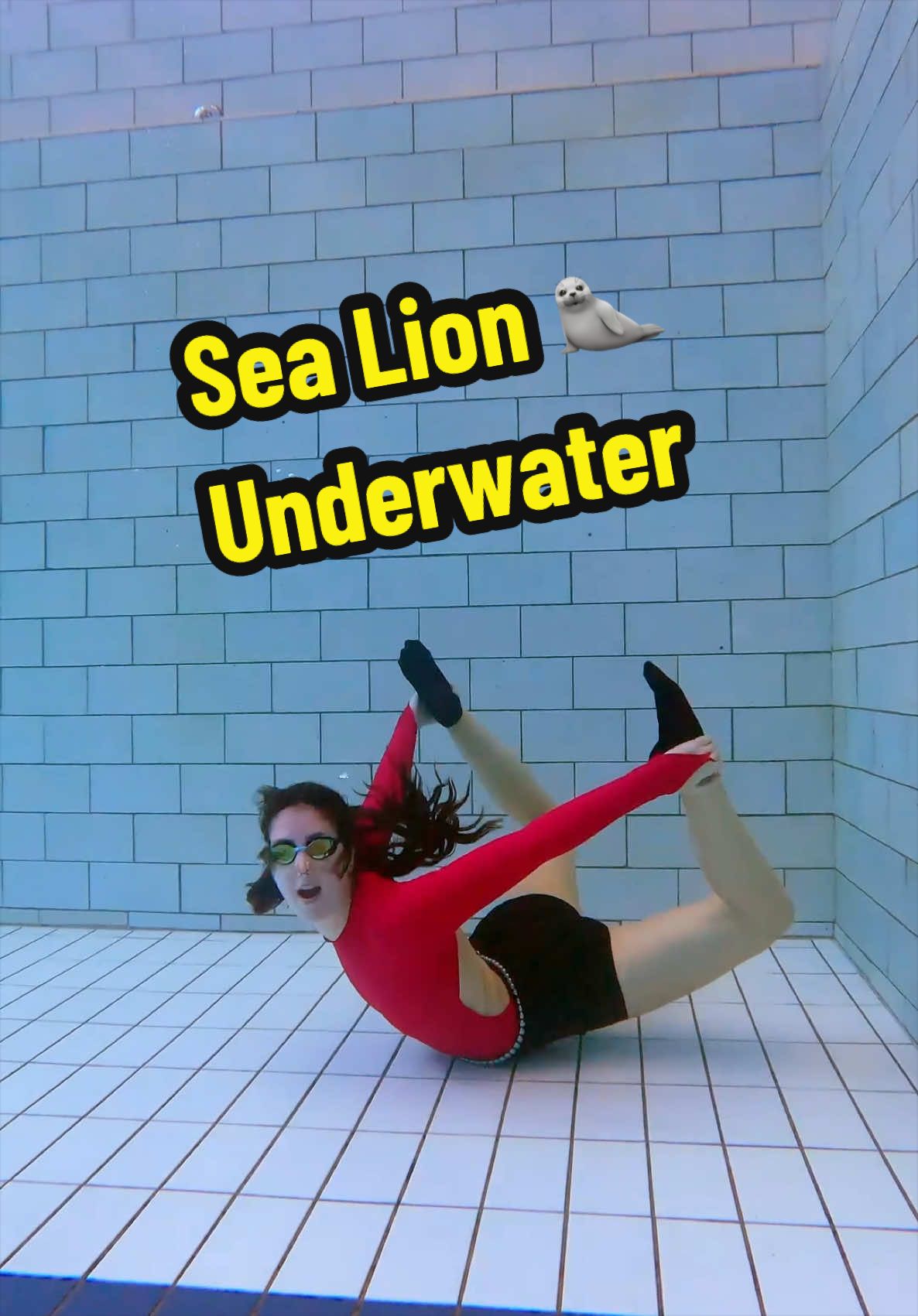 Hit the Sea Lion Trend Underwater! 🌊 #sealion #underwater #swimmingpoolchallenge #podvodou #sisasolymosyova 