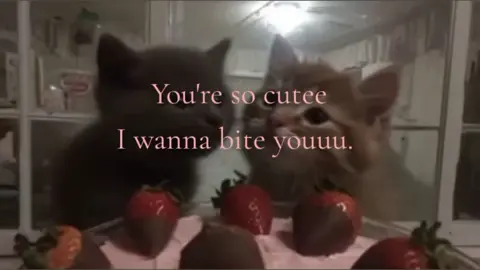 Send this to a cutie                                               #viral  #trend  #sendthistohim  #fyp  #sendthistoyourcrush 