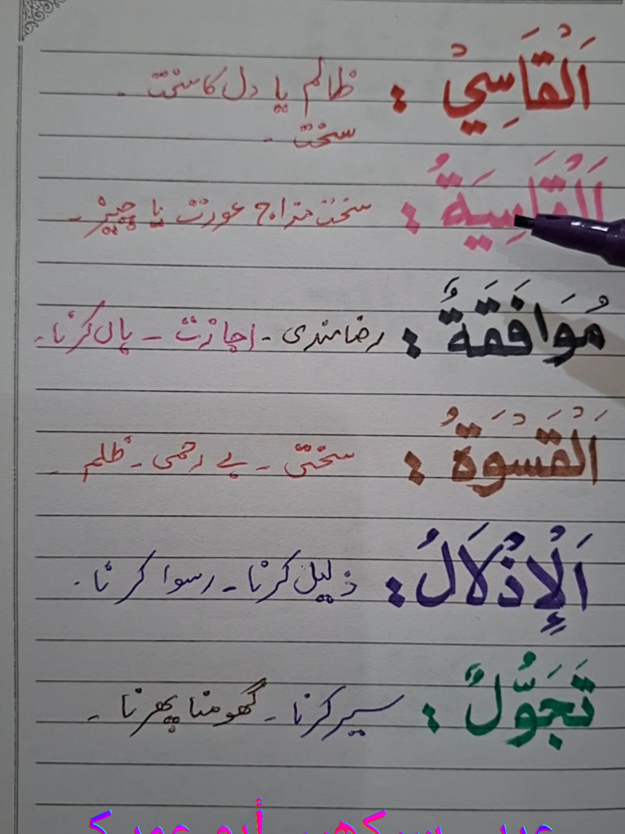 Basic Arabic for beginners  #arabic #saudidialect  #creatorsearchinsights  #uae #vocabulary 