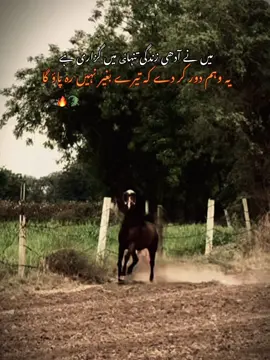 Han g 🔥🐊#viral_video #viralkrdo?????🤌🏻🤌🏻 #unfreezmyaccout🥀💫। 