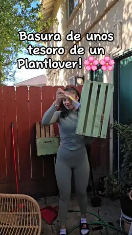 Basura de unos tesoro de un Plantlover! #garden #gardening #plants 