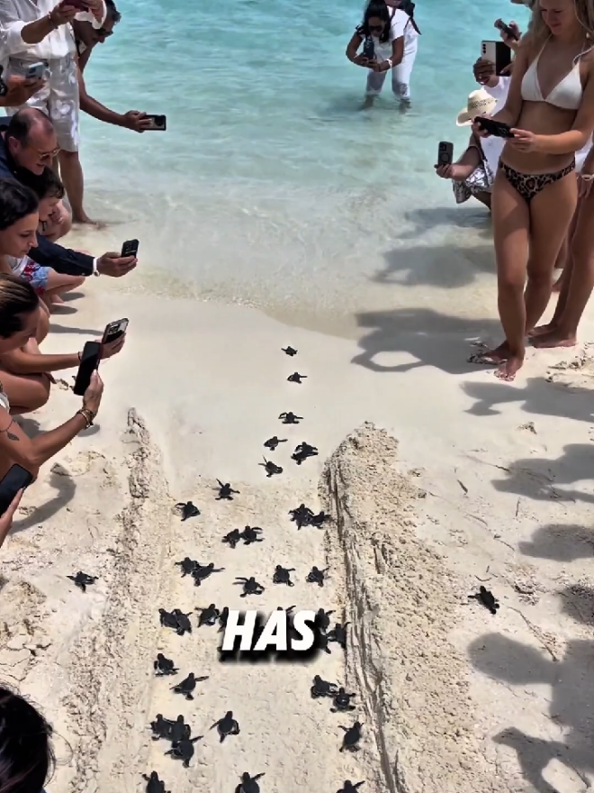 Whats This On Yhe Sand😱