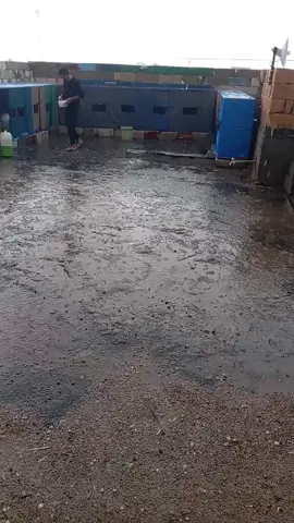 #حمام 