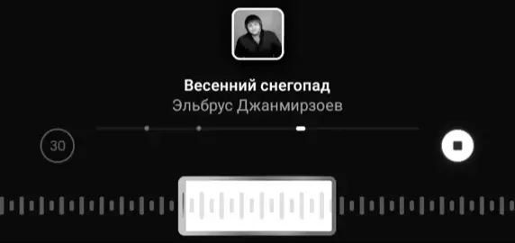 Весенний снегопад 