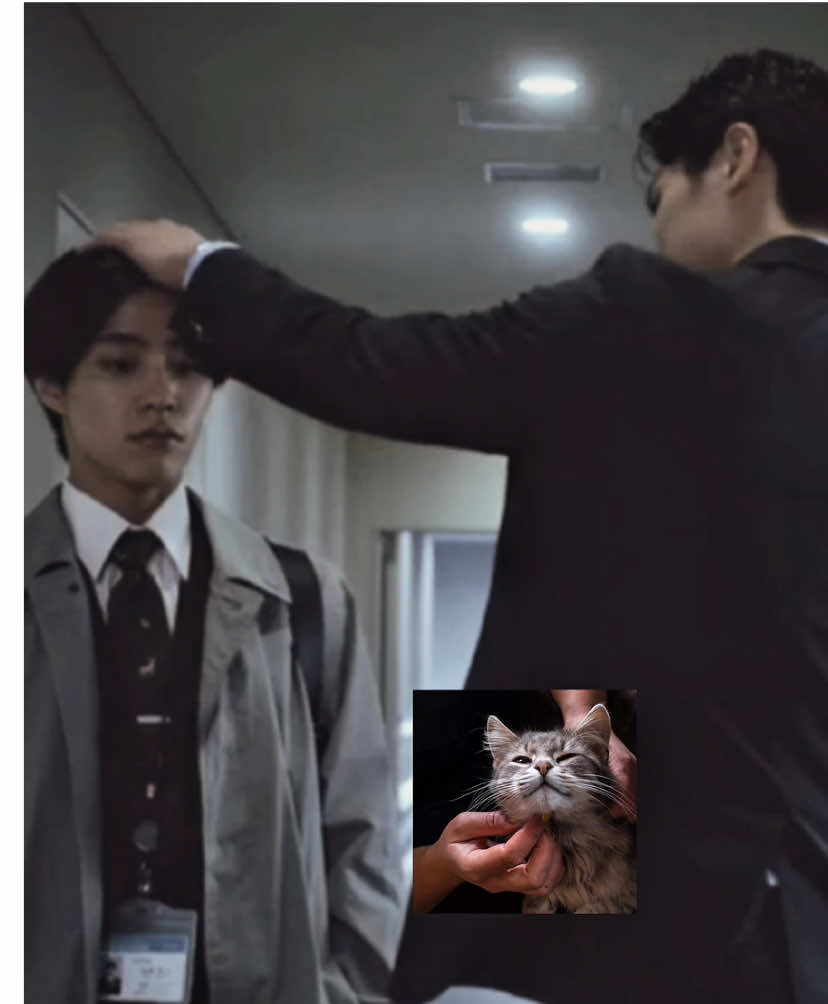 Patting my cute little cat 🐱 ~ #ifの世界で恋がはじまる #lovebeginsintheworldofif #bljapan #bledit #foryoupage  WATCH ON GAGAOOLALA 