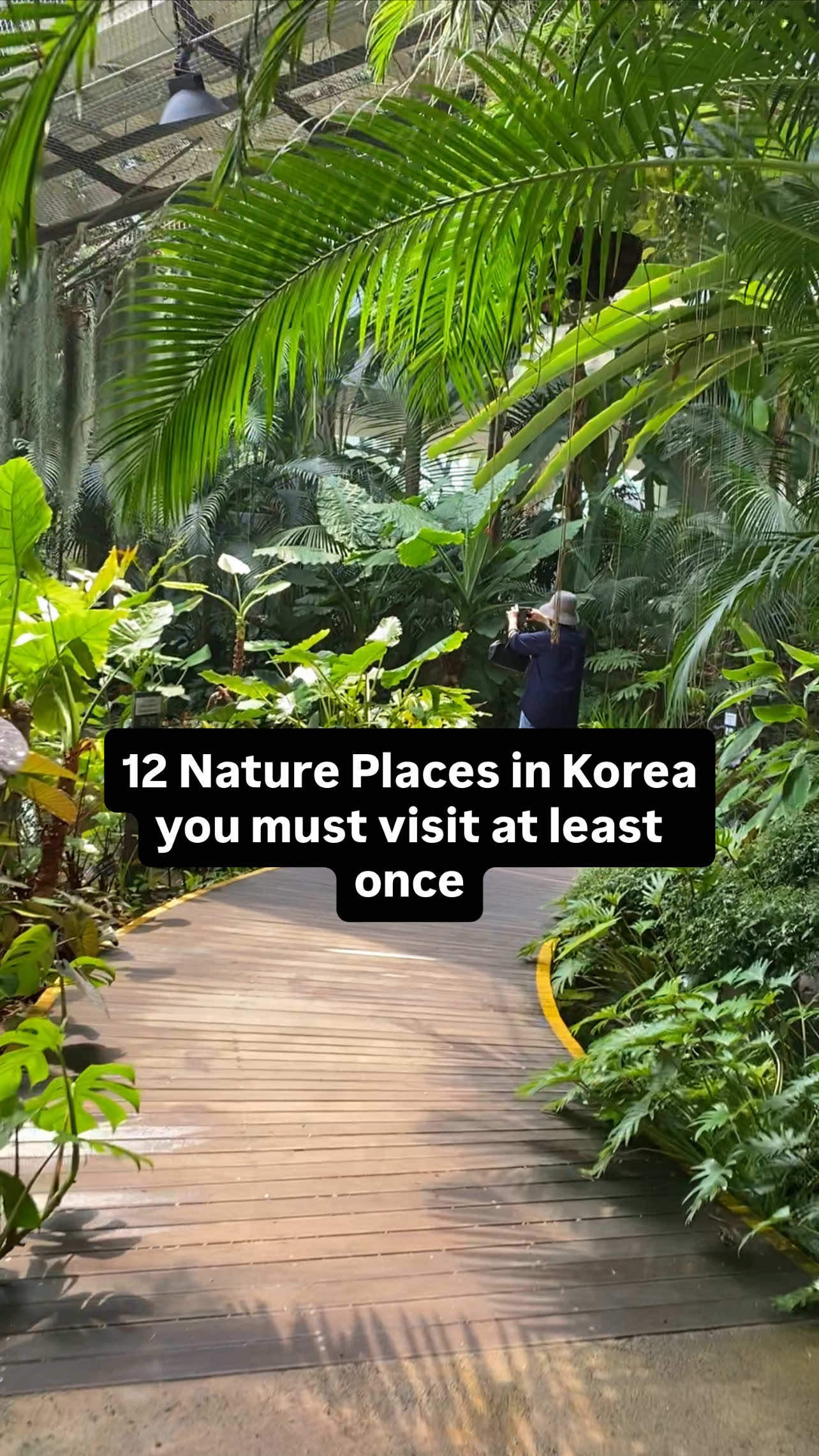 📌12 Nature Places in Korea you must visit at least once❤️🇰🇷 1.  Visit Seoul Botanic Garden (서울식물원) 🌿Super cute spot and it integrates a public park so it’s the size of 70 soccer fields! 2. Ilsan Lake Park  Such a hidden gem!! Loved this place, took a Korea friend from Seoul there once so pretty, especially at night! 3. Walk Around Seokchon Lake (석촌호수) 🚣🏽‍♀️HUGE, peaceful and honestly one of the prettiest walks in Seoul. Go late afternoon so you can experience daytime, sunset and night views around the lake. 4. Bulgwangcheon Stream (불광천) 🚶🏽‍♀️🌸 (Near Mangwon) Lived near here. So peaceful and beautiful. Used to take long walks with my friends here and have picnics at the picnic table with a lot of Korean ramen and side dishes I bought from local shops. 5. Jebudo Island  Super super relaxing spot, you can get a bus from Seoul there, ride the cable car over the water and relax. 6. Visit Seoul’s Hongjecheon Artificial Waterfall (홍제폭포) Super beautiful and relaxing walk. It’s a 25m high artificial waterfall but it is right next to Ansan Mountain (안산) and so many other nature spots. 7. Yang Yang Surf, cafe hop or just chill, it’s a bus away from Seoul! 6. Cheonggyecheon Stream a must must visit!! So pretty and near 8. Changdeokgung Secret Garden. The Changdeokgung Palace is one of the most well-preserved royal palaces from the Joseon Dynasty and they have a secret garden too! Must must visit 9. Seoraksan National Park BEAUTIFUL  a must visit 10. Wansan Park If you go to Jeonju, visit the Hanok Village, eat bibimbap and walk through Wansan Park if you want to be around nature for a bit. 11. Seoul Forest 🌳 12. Gyeongpoho Lake  Go to Gangneung Arte Museum, swim in the infinity pool at Skybay Hotel, walk around Gyeongpoho Lake, then explore the famous café street and try soft white tofu stew in Gangneung! #koreatravel #seoultravel #thingstodoinseoul #koreahiddengems #visitkorea seoulcafe koreantravel southkorea explorekorea seoultrip 서울핫플    
