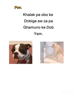 😢. . #fypシ #zoya✨✨✨ #fyp #foryoupage #bakhtirahman @TikTok Pakistan 