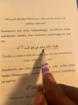 Alle waa kuu dhow yahay… adiguse ma u dhowdahay? 🤍#foryou #foryoupage #viralvideo #islamicreminder 