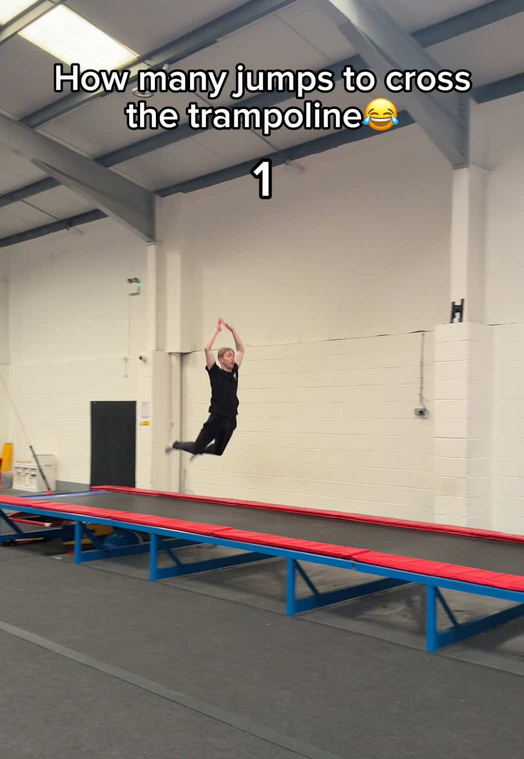 How many could you do?😂 @Lucie Colebeck @Ollie Colebeck 