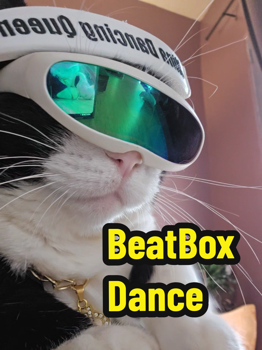 Always check the treble👌🎧 #viral #fyp #cat #beatbox 