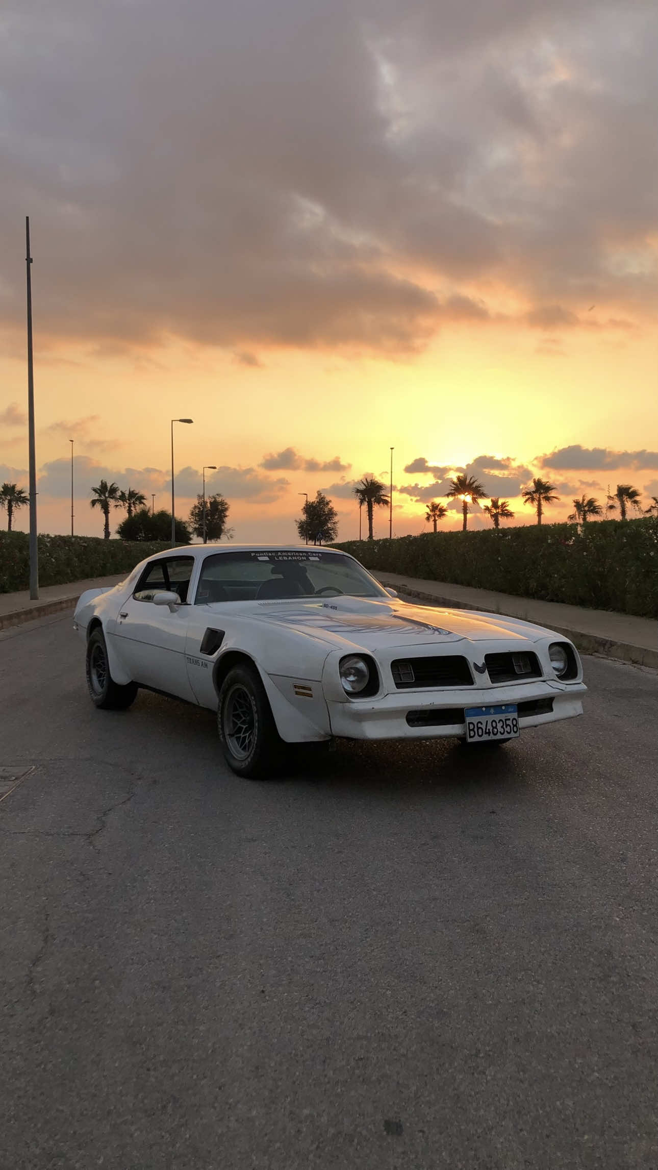 Don't worry guys! I'm restoring it 👀  #cargirl #classiccar #musclecar #america #lebanon 