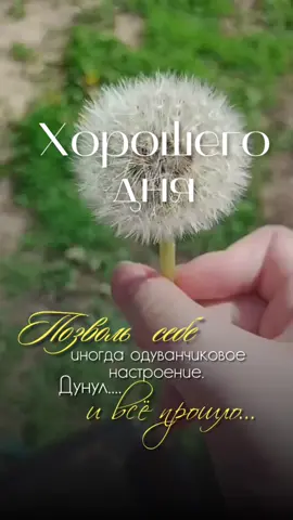 #хорошегонастроения 