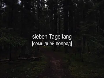 Sieben Tage lang - Bots |~| тгк с песнями в профиле #рекомендации #переводпесни #lyrics #fyp #текстпесни 