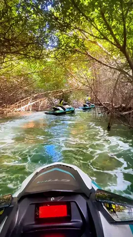 Come and see the Beautiful Nichupté Mangales 🌿 Ven a ver los hermosos Manglares de Nichupté 📍 Cancun, Mexico.  KAN MAR Jet Ski Rentals 📱+52-998-719-0504