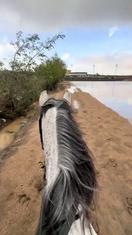 #ابها #fyp #خيل_وخياله🐎 #نادي_هورس_رايدر #امطار 