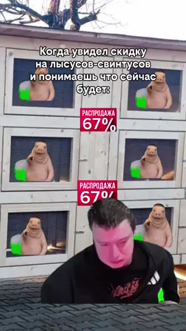 ХАХАХАХАХАХАХА #fyp #жиза #мем #смешно #залети #свинтус #лысус 