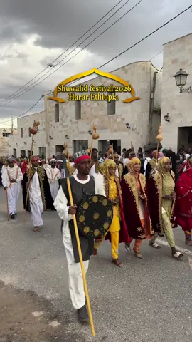 #shuwalidfestival #2026 #harar #ethiopia #akashtravel🐪 