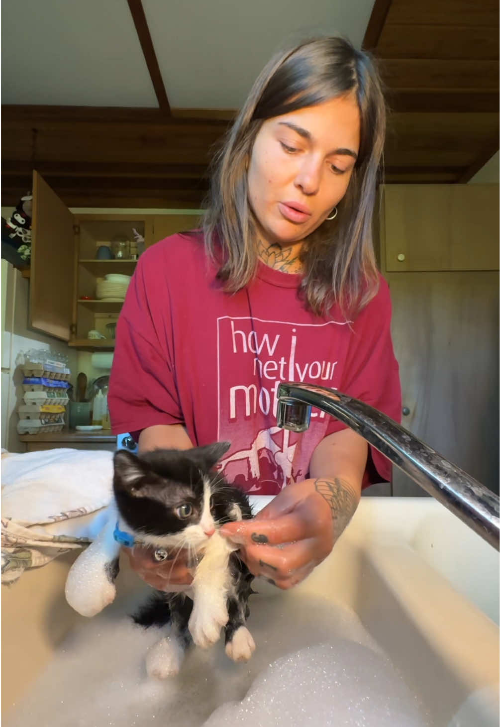 thank you @jacob for the assistance 🐱