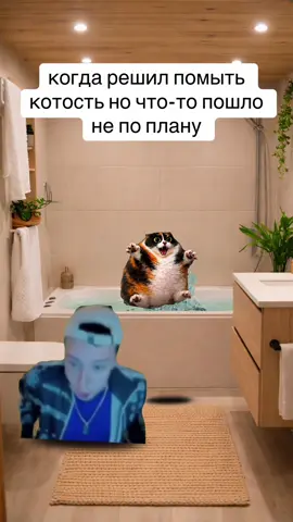#ч #котость #кот #друн #жиза 