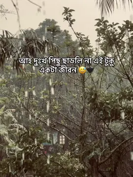 আহ দুঃখ পিছু ছাড়লি না এই টুকু একটা জীবন 😅🖤 #fpyシ 
