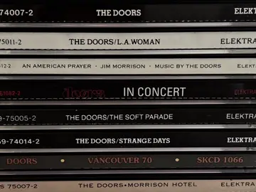 the doors <3 #thedoors #jimmorrison #60smusic #classicrock #psychedelicart 